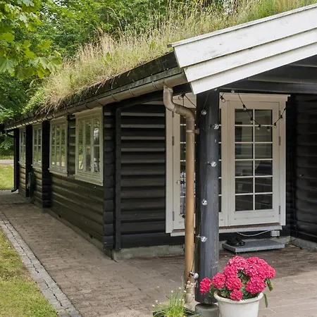 Log House In 150 M To The